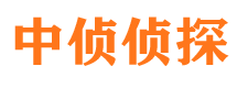 石楼市侦探调查公司